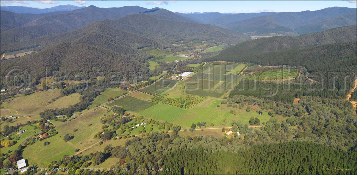 Peter Bellingham Photography Wandiligong Valley - VIC T (PBH3 00 34068)